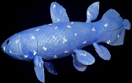 The image “http://susannabergtold.com/statues/Coelacanth.jpg” cannot be displayed, because it contains errors.